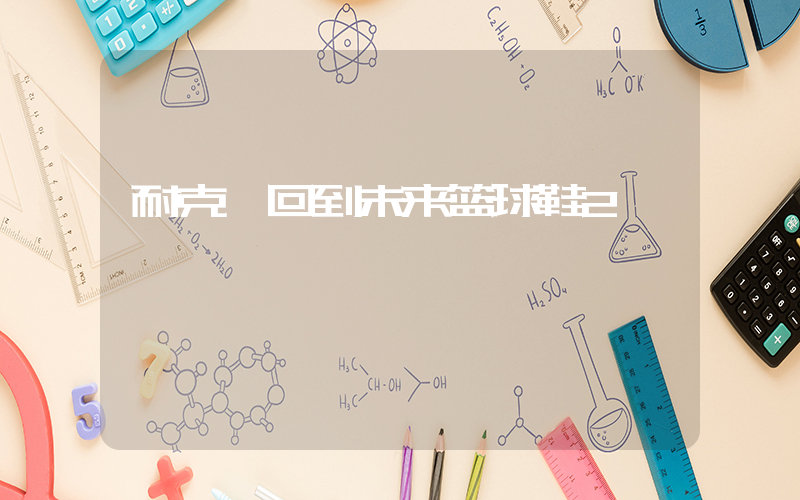 耐克 回到未来篮球鞋2插图